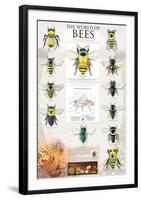 The World Of Bees-null-Framed Art Print