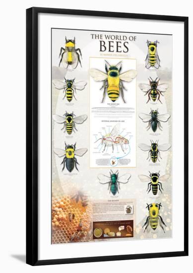 The World Of Bees-null-Framed Art Print