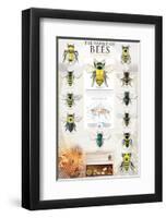 The World Of Bees-null-Framed Art Print