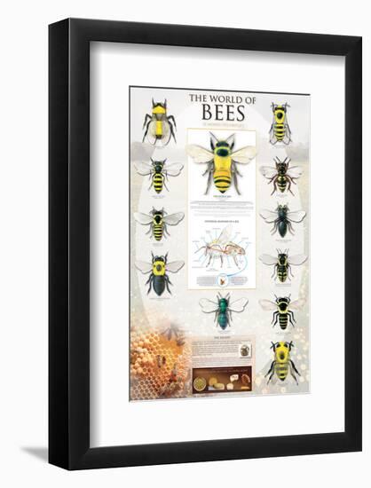 The World Of Bees-null-Framed Art Print