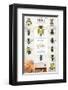 The World Of Bees-null-Framed Art Print