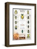 The World Of Bees-null-Framed Art Print