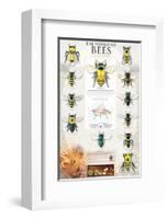 The World Of Bees-null-Framed Art Print