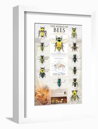 The World Of Bees-null-Framed Art Print