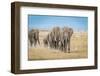 The World's Greatest Parade-Jeffrey C. Sink-Framed Photographic Print