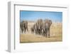 The World's Greatest Parade-Jeffrey C. Sink-Framed Photographic Print