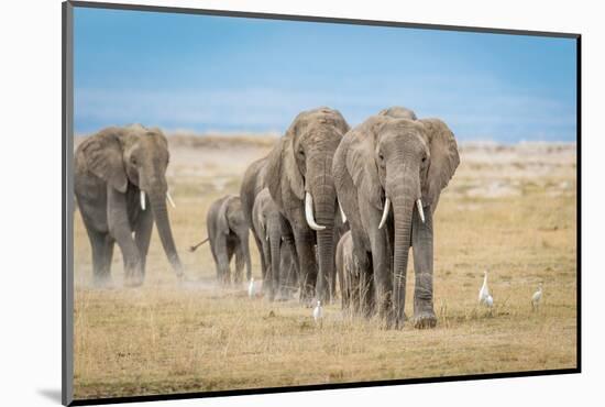 The World's Greatest Parade-Jeffrey C. Sink-Mounted Photographic Print