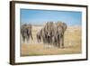 The World's Greatest Parade-Jeffrey C. Sink-Framed Photographic Print