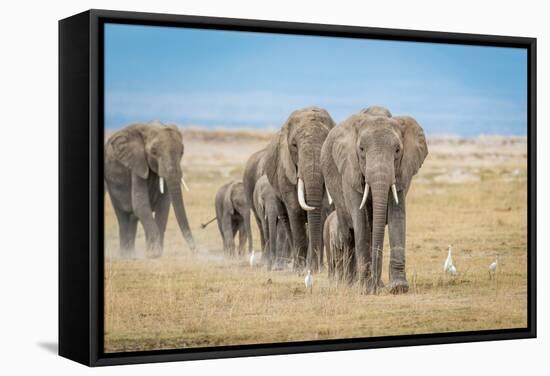 The World's Greatest Parade-Jeffrey C. Sink-Framed Stretched Canvas