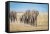 The World's Greatest Parade-Jeffrey C. Sink-Framed Stretched Canvas