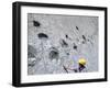 The World's Longest Dinosaur Tracks, Cretaceous Titanosaurus, Near Sucre, Bolivia, South America-Tony Waltham-Framed Photographic Print