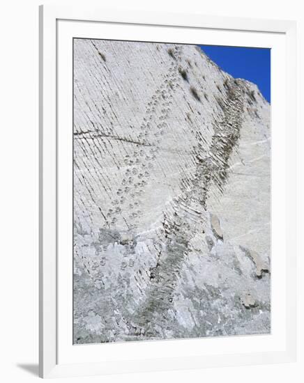 The World's Longest Dinosaur Tracks, Cretaceous Titanosaurus, Near Sucre, Bolivia, South America-Tony Waltham-Framed Photographic Print