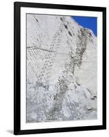 The World's Longest Dinosaur Tracks, Cretaceous Titanosaurus, Near Sucre, Bolivia, South America-Tony Waltham-Framed Photographic Print