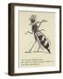 The Worrying Whizzing Wasp-Edward Lear-Framed Giclee Print