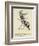 The Worrying Whizzing Wasp-Edward Lear-Framed Giclee Print