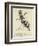 The Worrying Whizzing Wasp-Edward Lear-Framed Giclee Print