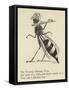 The Worrying Whizzing Wasp-Edward Lear-Framed Stretched Canvas