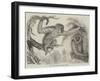 The Wou Wou, or Silvery Gibbons-null-Framed Giclee Print