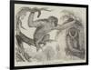 The Wou Wou, or Silvery Gibbons-null-Framed Giclee Print