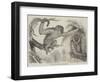 The Wou Wou, or Silvery Gibbons-null-Framed Giclee Print