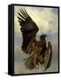 The Wounded Eagle, c.1870-Rosa Bonheur-Framed Stretched Canvas