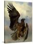 The Wounded Eagle, c.1870-Rosa Bonheur-Stretched Canvas