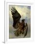 The Wounded Eagle, c.1870-Rosa Bonheur-Framed Giclee Print