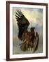 The Wounded Eagle, c.1870-Rosa Bonheur-Framed Giclee Print