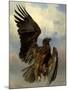 The Wounded Eagle, c.1870-Rosa Bonheur-Mounted Giclee Print