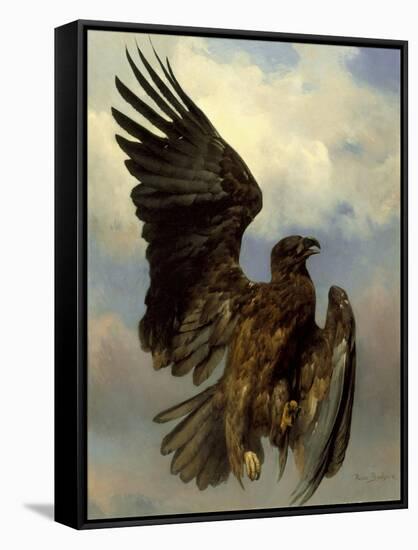The Wounded Eagle, c.1870-Rosa Bonheur-Framed Stretched Canvas