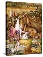 The Wounded Squirrel-John Anster Fitzgerald-Stretched Canvas