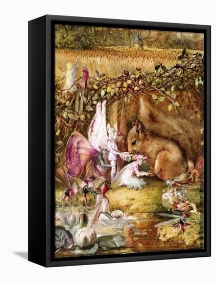 The Wounded Squirrel-John Anster Fitzgerald-Framed Stretched Canvas