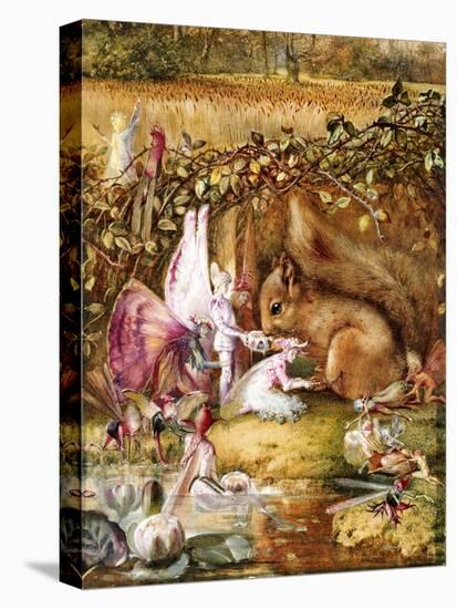 The Wounded Squirrel-John Anster Fitzgerald-Stretched Canvas