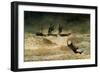 The Wreck of the Iron Cloud, 1881-Winslow Homer-Framed Giclee Print