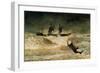 The Wreck of the Iron Cloud, 1881-Winslow Homer-Framed Giclee Print