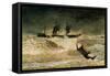 The Wreck of the Iron Cloud, 1881-Winslow Homer-Framed Stretched Canvas