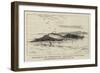 The Wreck of the Turkish Monitor Lufti-Djelid in the Danube-null-Framed Giclee Print