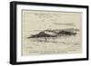 The Wreck of the Turkish Monitor Lufti-Djelid in the Danube-null-Framed Giclee Print