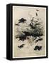 The Wren and the Bear-Arthur Rackham-Framed Stretched Canvas