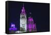 The Wrigley Building and Tribune Tower Illuminated at Night, Chicago, Illinois.-Jon Hicks-Framed Stretched Canvas