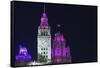 The Wrigley Building and Tribune Tower Illuminated at Night, Chicago, Illinois.-Jon Hicks-Framed Stretched Canvas