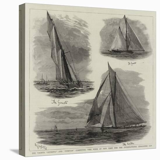 The Yachts Genesta and Puritan Competing This Week at New York for the International Challenge Cup-William Lionel Wyllie-Stretched Canvas