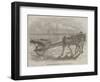 The Yarmouth Troll, or Beach-Cart-null-Framed Giclee Print