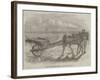 The Yarmouth Troll, or Beach-Cart-null-Framed Giclee Print