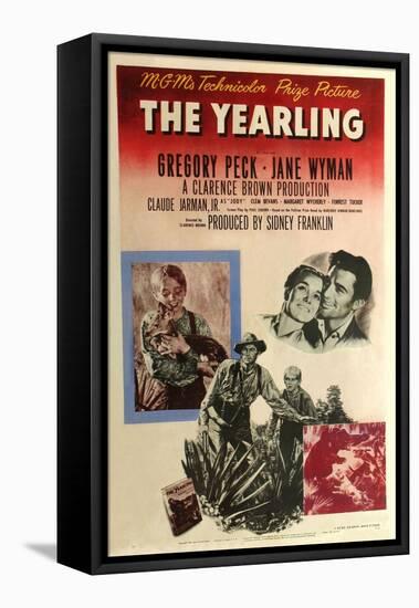 The Yearling, 1946-null-Framed Stretched Canvas
