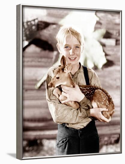 The Yearling, Claude Jarman Jr., 1946-null-Framed Photo