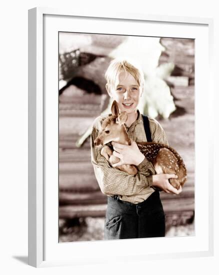 The Yearling, Claude Jarman Jr., 1946-null-Framed Photo