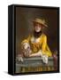 The Yellow Dress-Gustave Jacquet-Framed Stretched Canvas