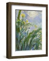 The Yellow Iris (Detail)-Claude Monet-Framed Giclee Print