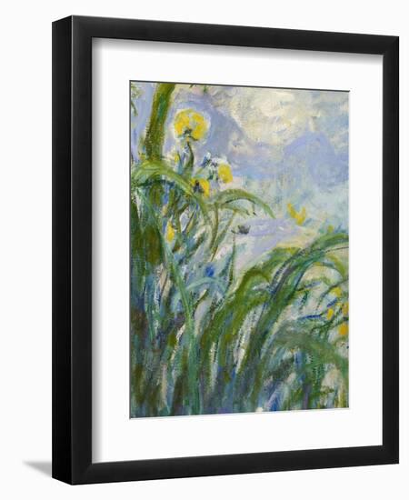 The Yellow Iris (Detail)-Claude Monet-Framed Giclee Print